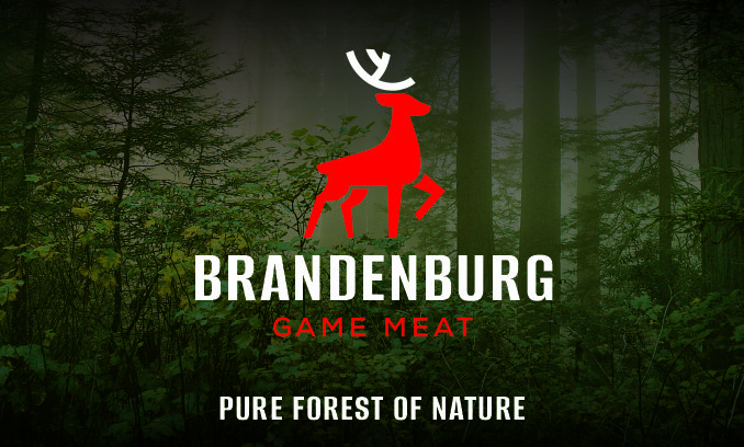 BRANDENBURG GAME SP. Z O.O.